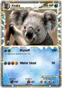 Koala