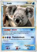 koala