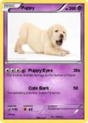 Puppy