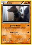 puppy