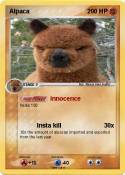 Alpaca