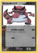 Krookodile LV.X