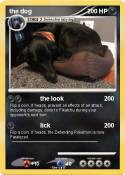 the dog