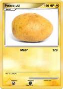 Potato