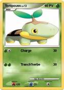 Tortipouss