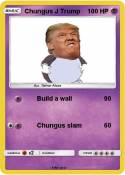 Chungus J Trump