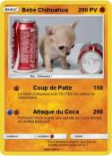 Bébé Chihuahua
