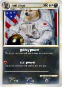 neil doge