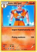 Goku SSJ god
