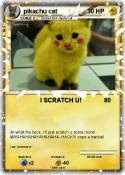 pikachu cat