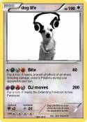 dog life