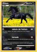 Frison