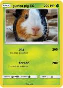 guinea pig EX