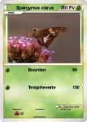 Epargyreus clar