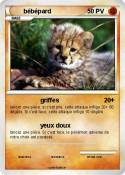 bébépard