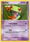 Tree Frog
