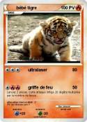 bébé tigre