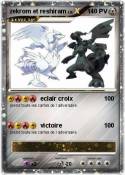zekrom et reshi
