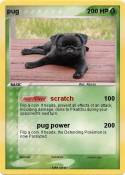 pug