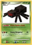 Spider