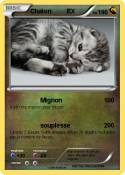 Chaton EX