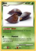Seed