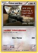 Kitten and Box