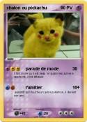 chaton ou