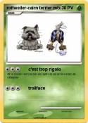 rottweiler-cairn