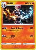 SHOTO