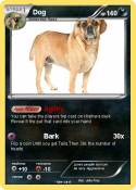 Dog