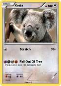 Koala