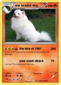 one headed dog