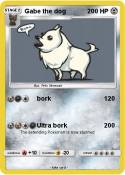 Gabe the dog