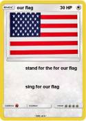 our flag
