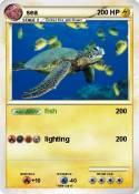 sea