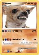 chiwawa