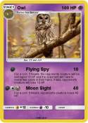 Owl