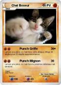 Chat Boxeur