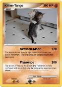 Kitten-Tango