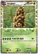 Sorghum