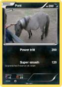 Poni