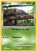 binturong