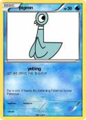 pigeon