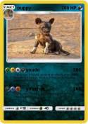 puppy