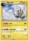 tigre blan