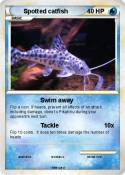 Spotted catfish