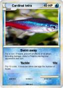 Cardinal tetra