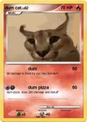 dum cat