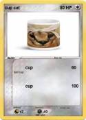 cup cat